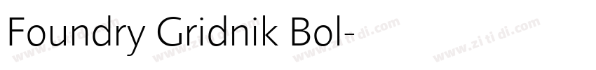 Foundry Gridnik Bol字体转换